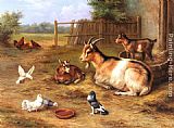 Edgar Hunt Canvas Paintings - A Farmyard Scene with goats, chickens, doves
